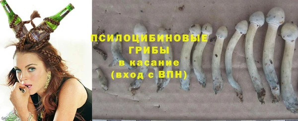 шишки Новозыбков