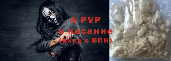 шишки Новозыбков