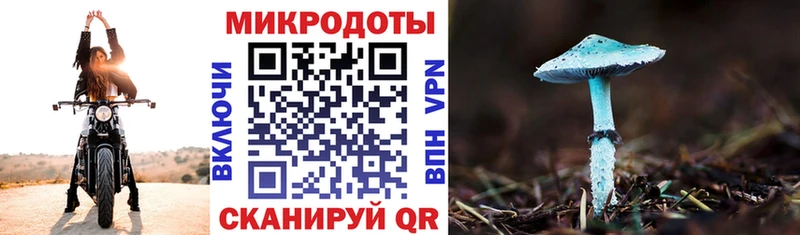 даркнет сайт  Дубовка  Псилоцибиновые грибы ЛСД 
